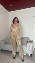 Ensemble MILA